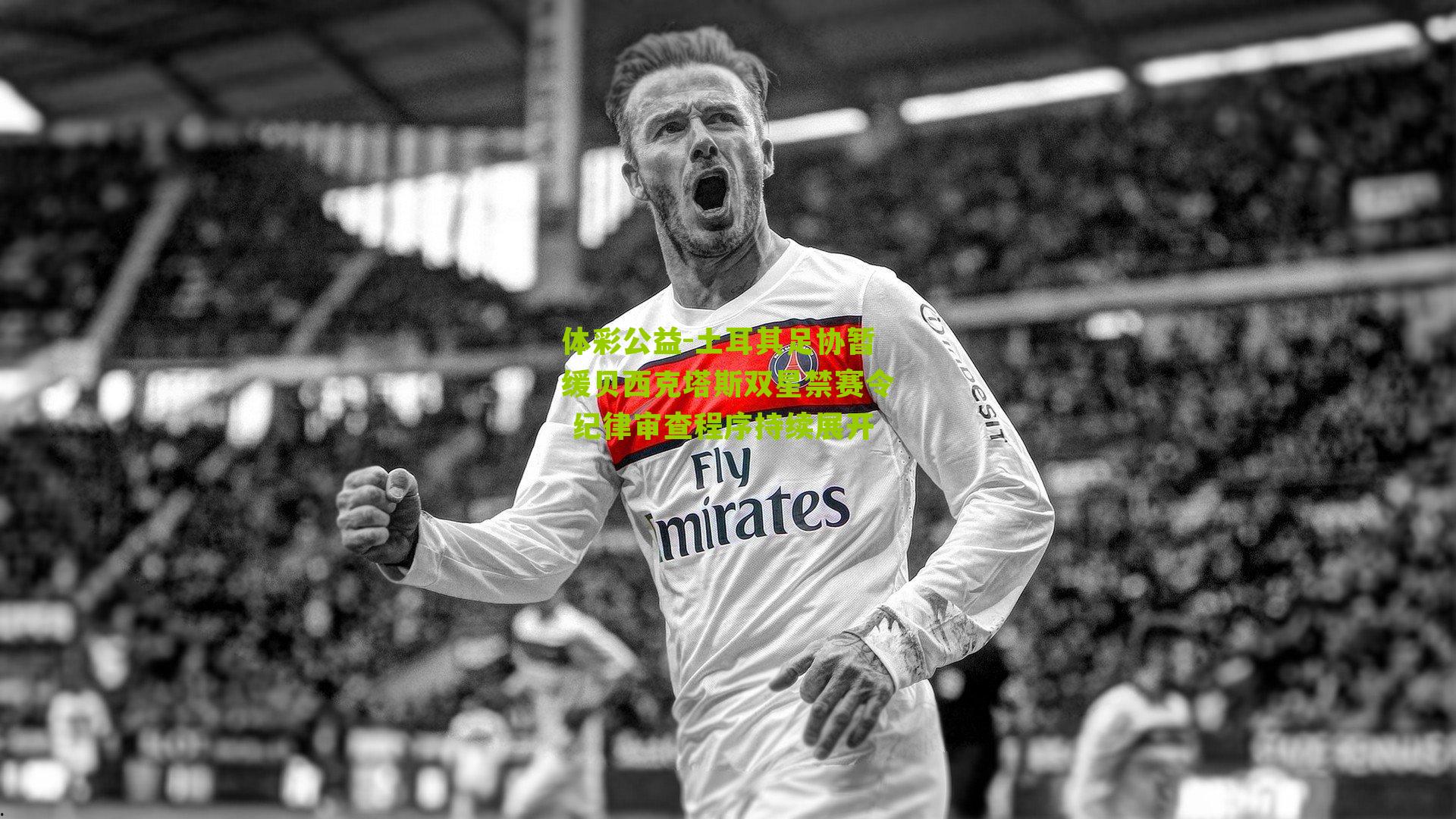 体彩公益-土耳其足协暂缓贝西克塔斯双星禁赛令 纪律审查程序持续展开