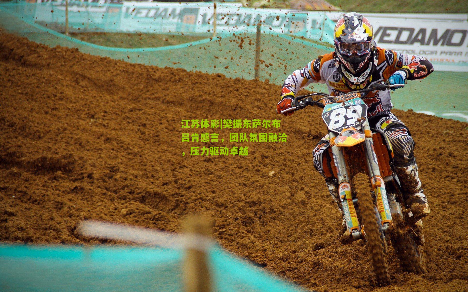 樊振东萨尔布吕肯感言，团队氛围融洽，压力驱动卓越